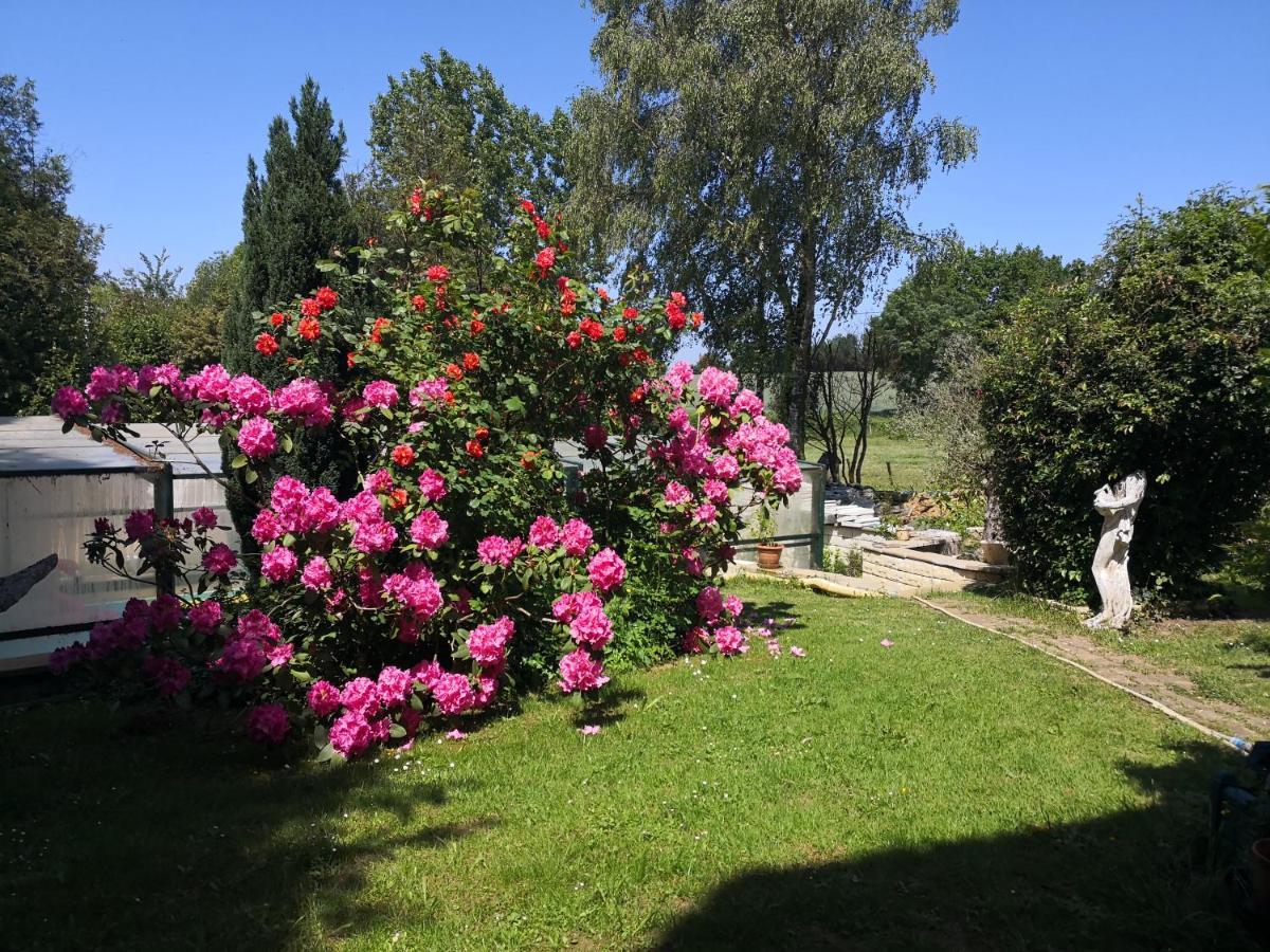 Au Jardin Fleuri Acomodação com café da manhã Secondigny Exterior foto